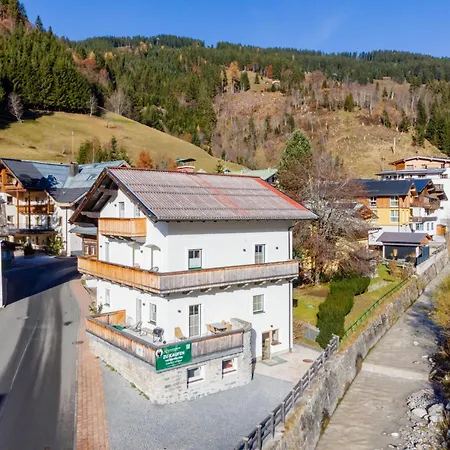 Apartament Leni 3 Dienten am Hochkönig